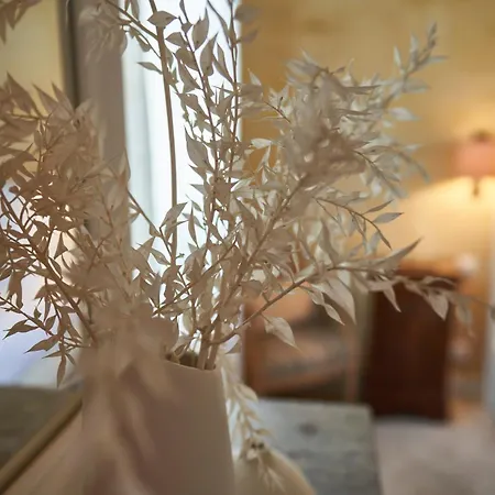 Chateau Bonalgue - Pomerol Bed and Breakfast
