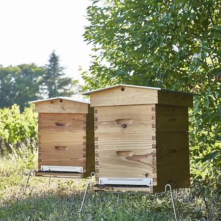 Chateau Bonalgue - Pomerol 3* Libourne