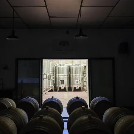 住宿加早餐酒店 Chateau Bonalgue - Pomerol 3*