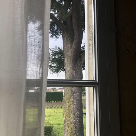 Chateau Bonalgue - Pomerol Bed & Breakfast Libourne