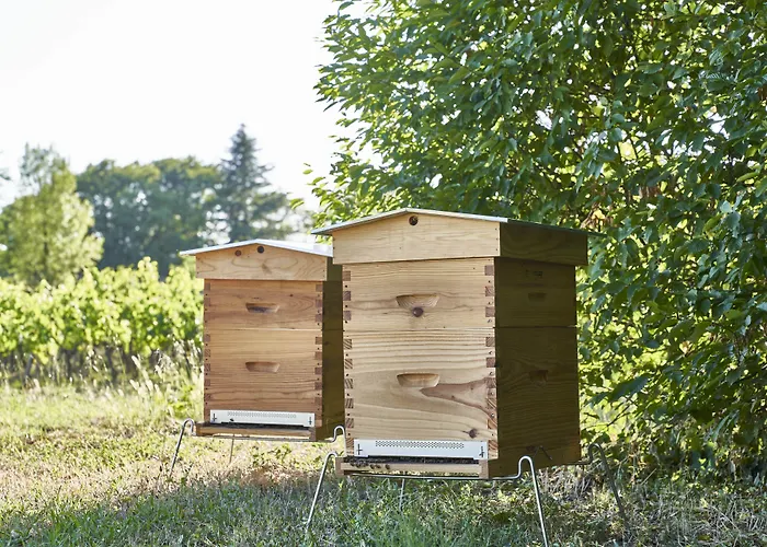 Chateau Bonalgue - Pomerol 3* Libourne