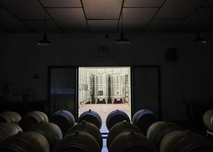 Bed and breakfast Chateau Bonalgue - Pomerol 3*