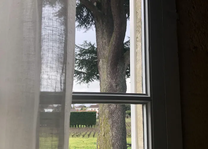 Chateau Bonalgue - Pomerol Bed & Breakfast Libourne